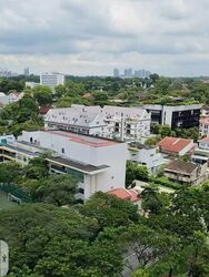 The Crest (D3), Condominium #580321901